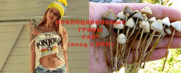 прущие грибы Остров