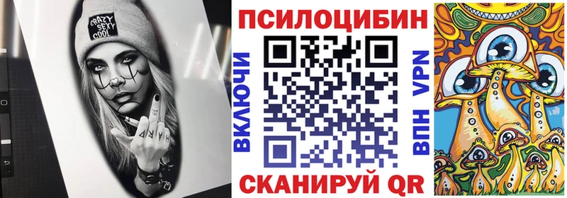 Купить где  Короча  Псилоцибиновые грибы Cubensis 